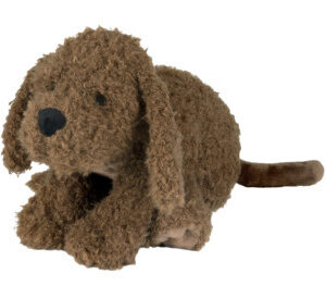 Labradoodle Larry no. 2