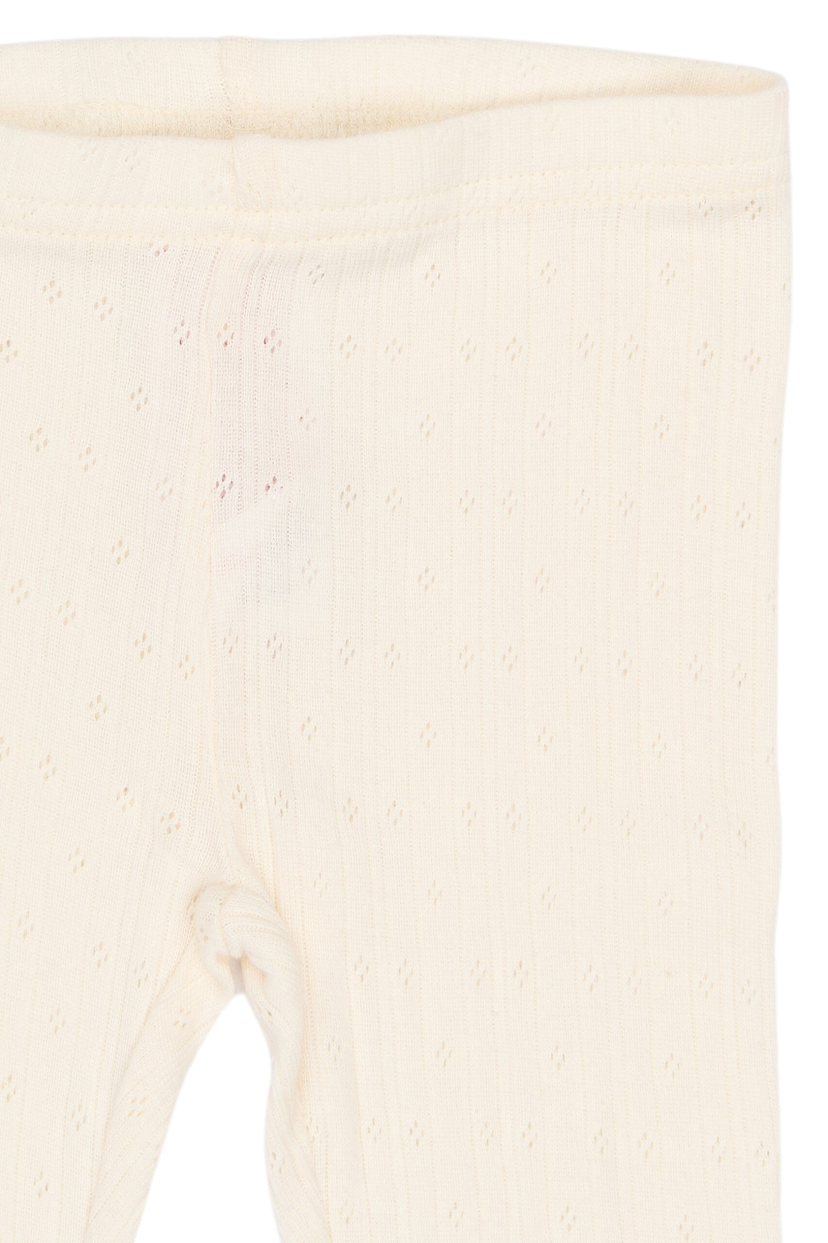 PP0202-Eggnog-Extra-3.jpg