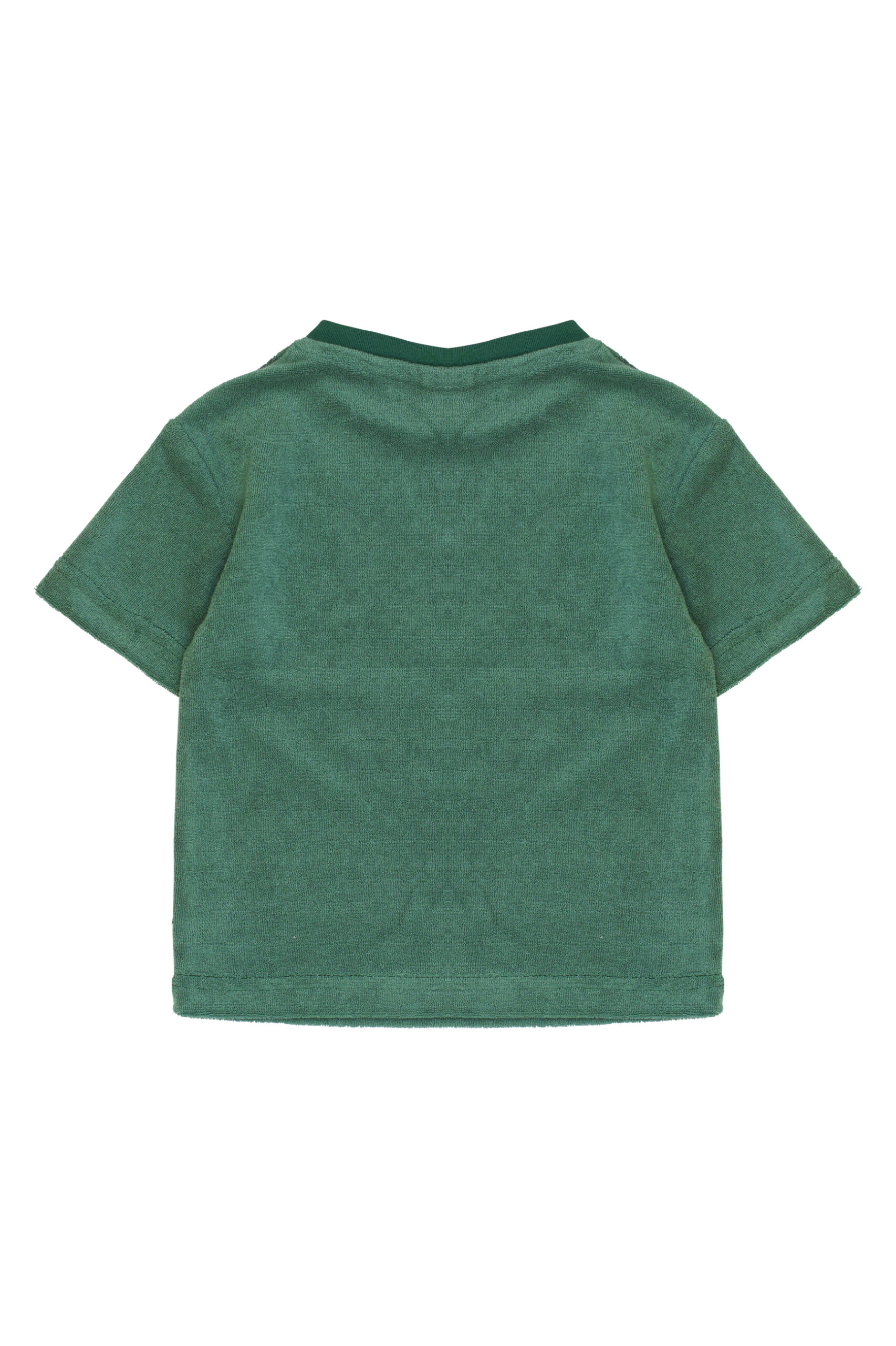 TNST6997-TNSTTerry-OS-S_S-Tee-Posy-Green-Extra-1.jpg